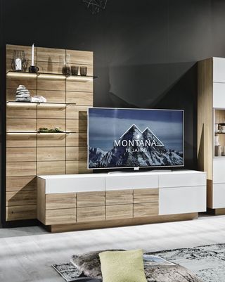 Dunkles Sofa und Teppisch vor Holzwohnwand mit grauem Hängeelement und Fernseher
