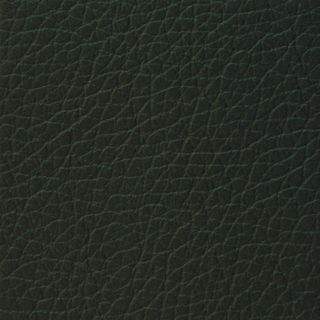 dunkelgrünes Leder LZ army green