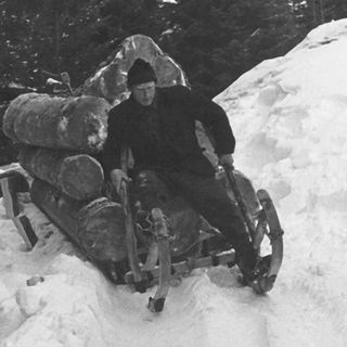 Mann fährt mit Schlitten auf dem Baumstämme transpirtiert werden über Schnee in schwarz weiß